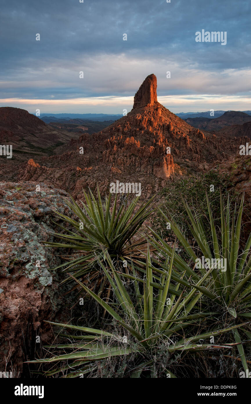 Tessitori ago rock formazione viene colpito dai primi raggi di sole, Arizona Foto Stock