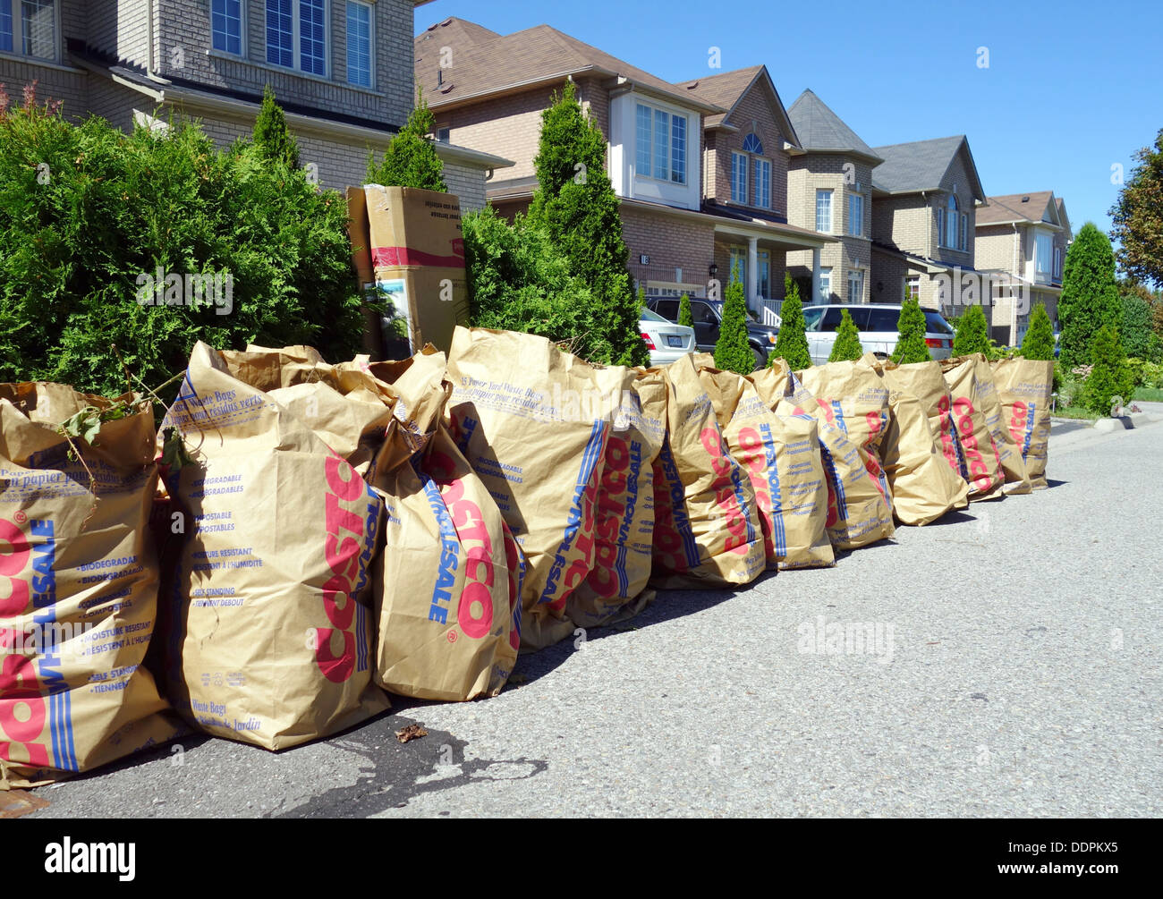 Rifiuti di cantiere sacchetti in un'area suburbana fuori Toronto, Canada Foto Stock