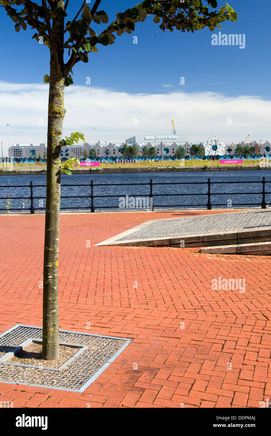 Roath Bacino, la Baia di Cardiff, Galles. Foto Stock