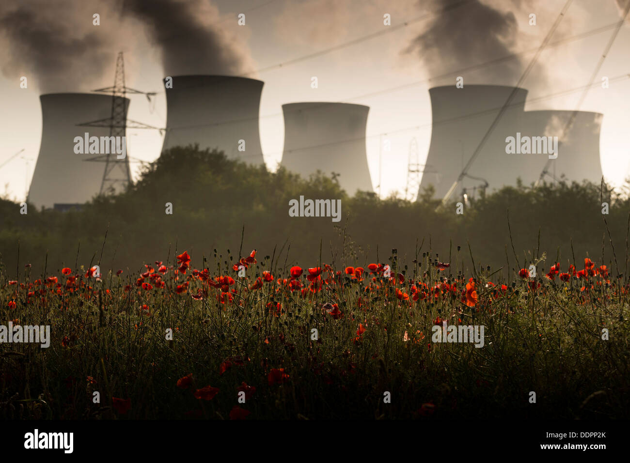 Ferrybridge C Coal Fired power station nel West Yorkshire, con un campo di papaveri rossi in primo piano. Foto Stock
