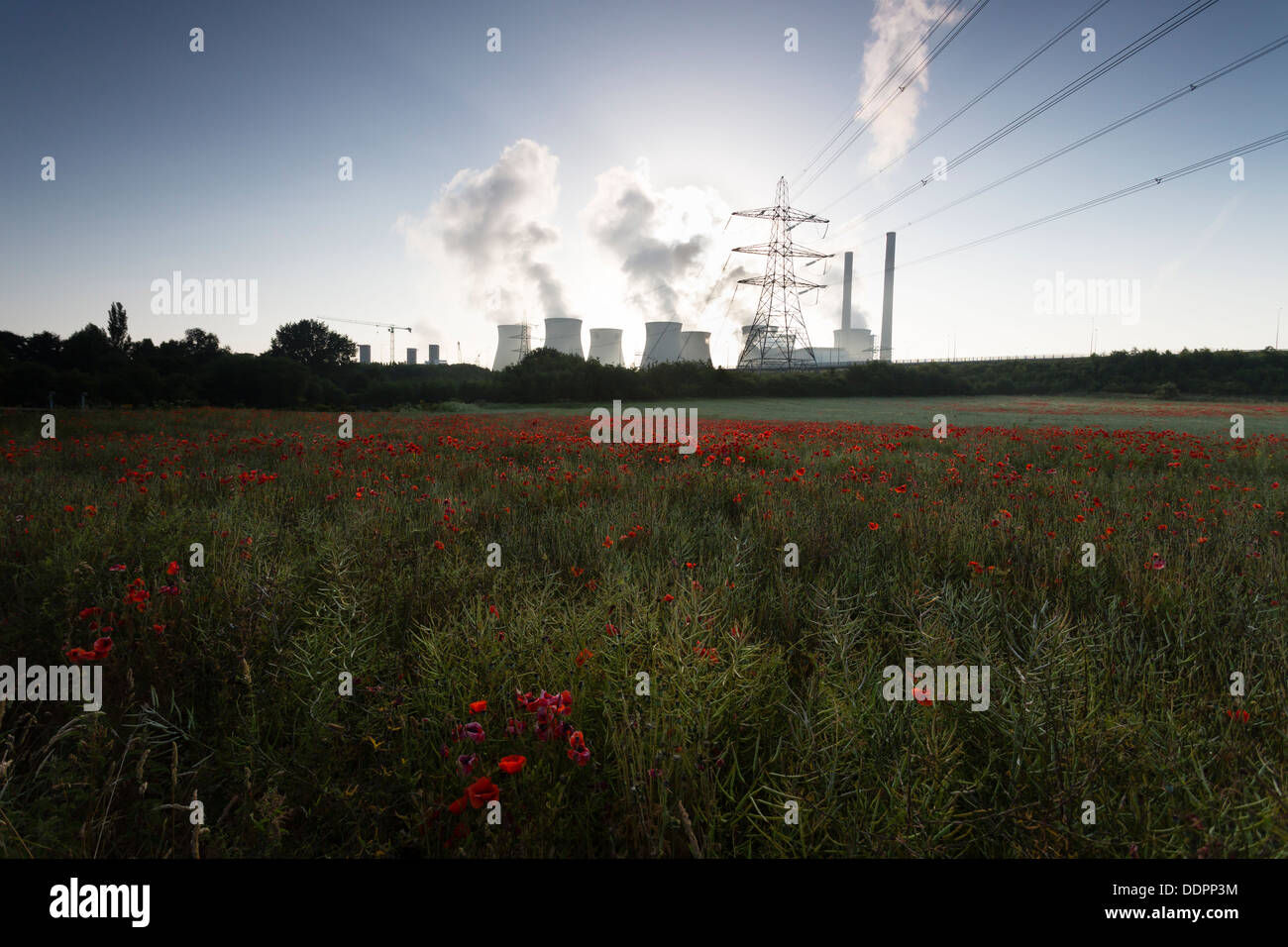 Ferrybridge C Coal Fired power station nel West Yorkshire, con un campo di papaveri rossi in primo piano. Foto Stock