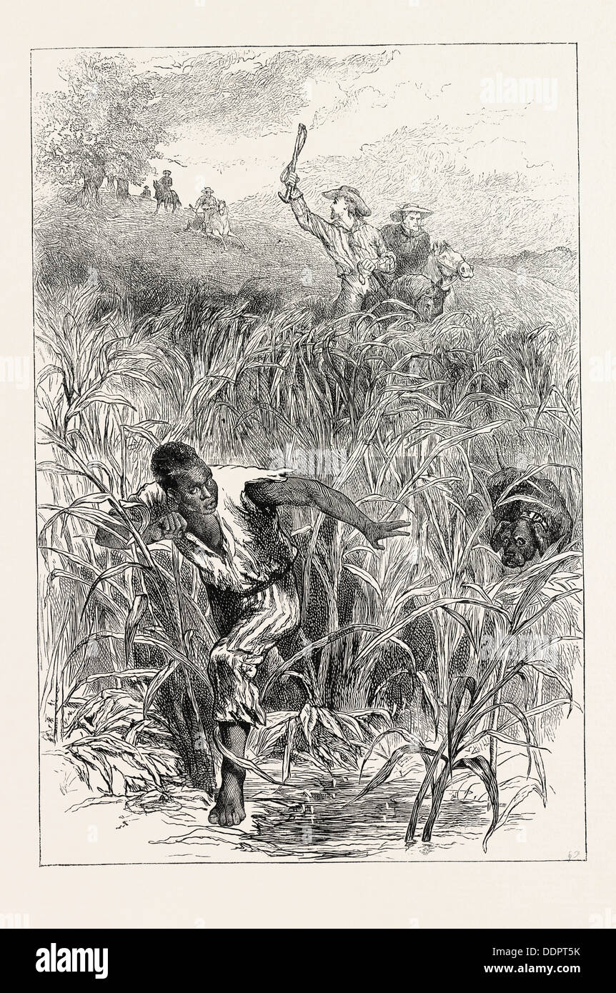Una suoneria SLAVE, STATI UNITI D'AMERICA, USA, STATI UNITI D'AMERICA, schiavitù, 1870s incisione Foto Stock