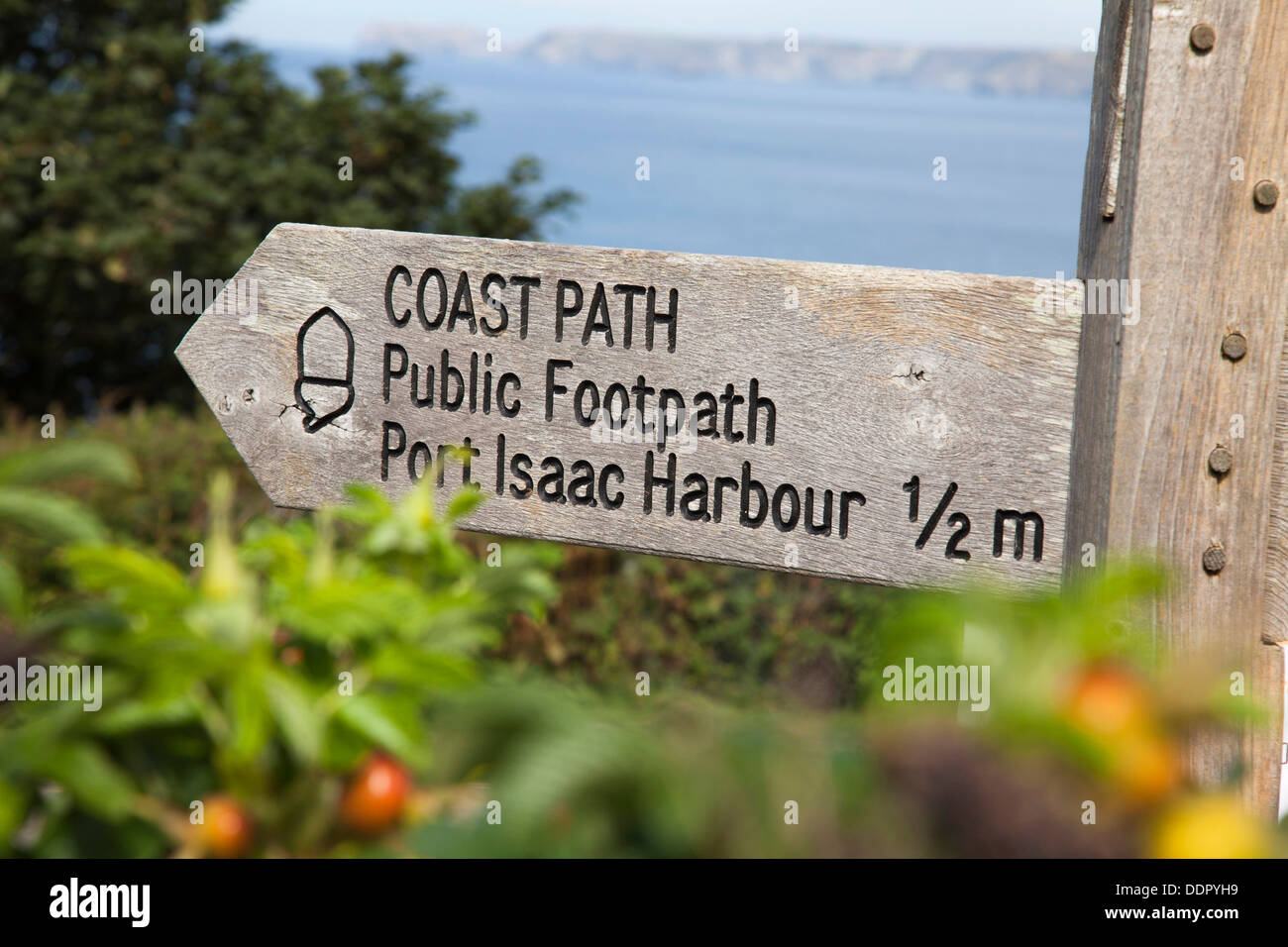 Un sentiero costiero vicino a Port Isaac, Cornwall, England, Regno Unito Foto Stock