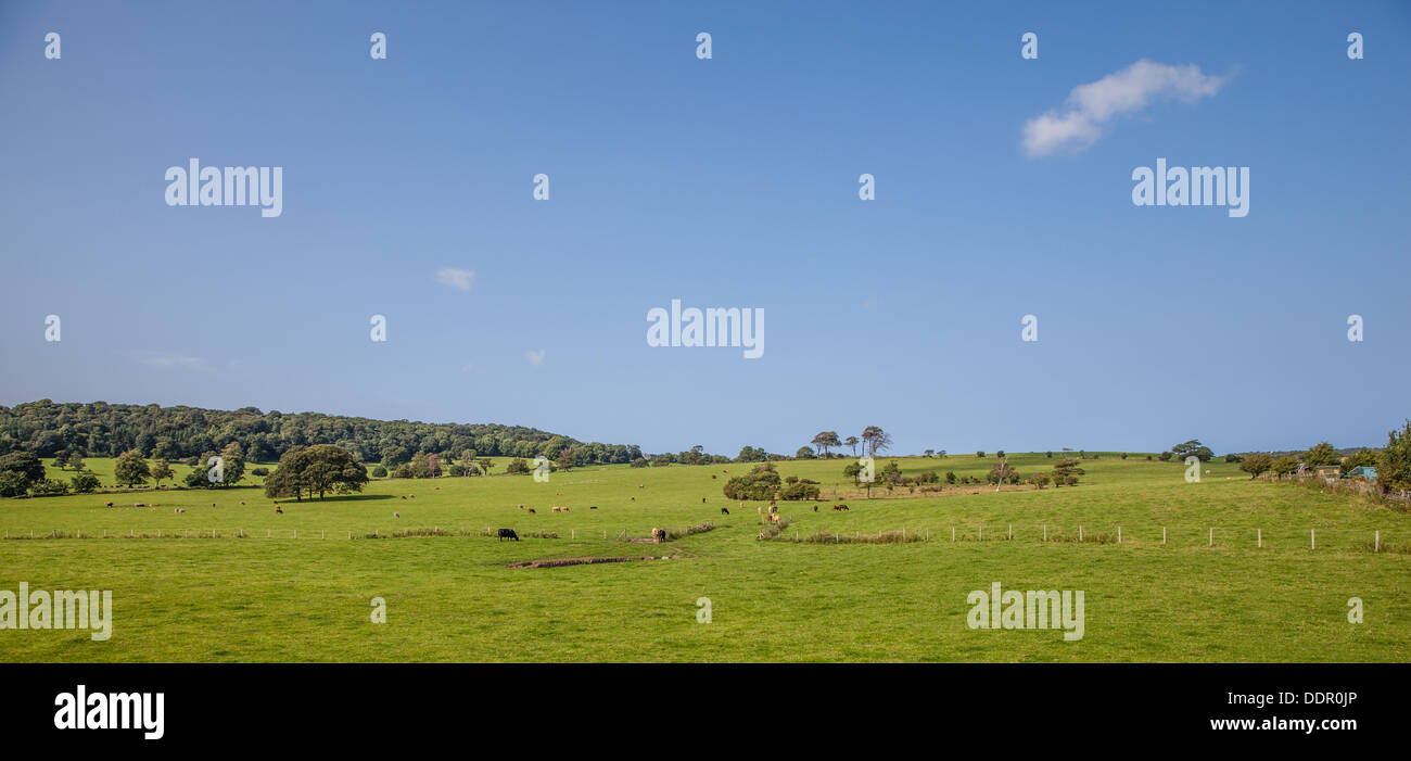 Lato paese del Galles Foto Stock