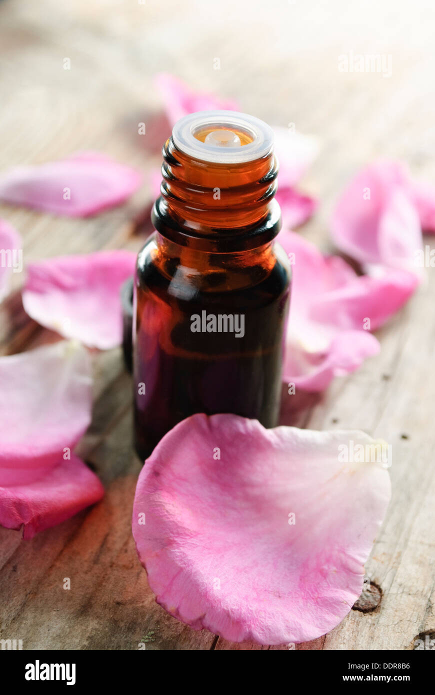 Olio essenziale di petali di rosa su sfondo di legno Foto Stock