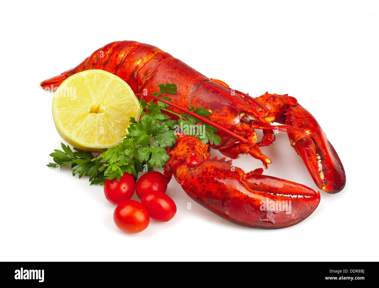 Red Lobster con limone e prezzemolo su sfondo bianco Foto Stock