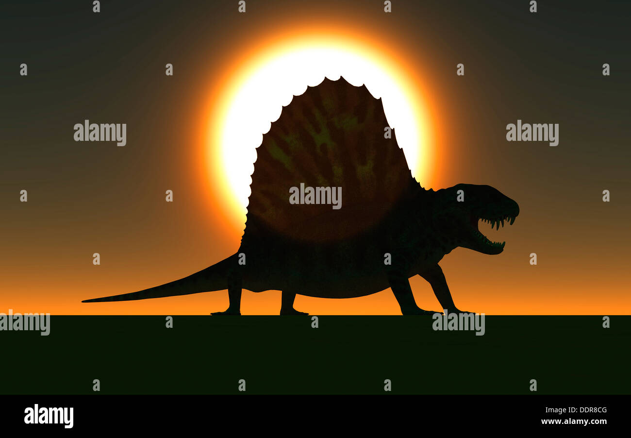 Un Dimetrodon vivi durante le masse Permiano Periodo di tempo. Foto Stock
