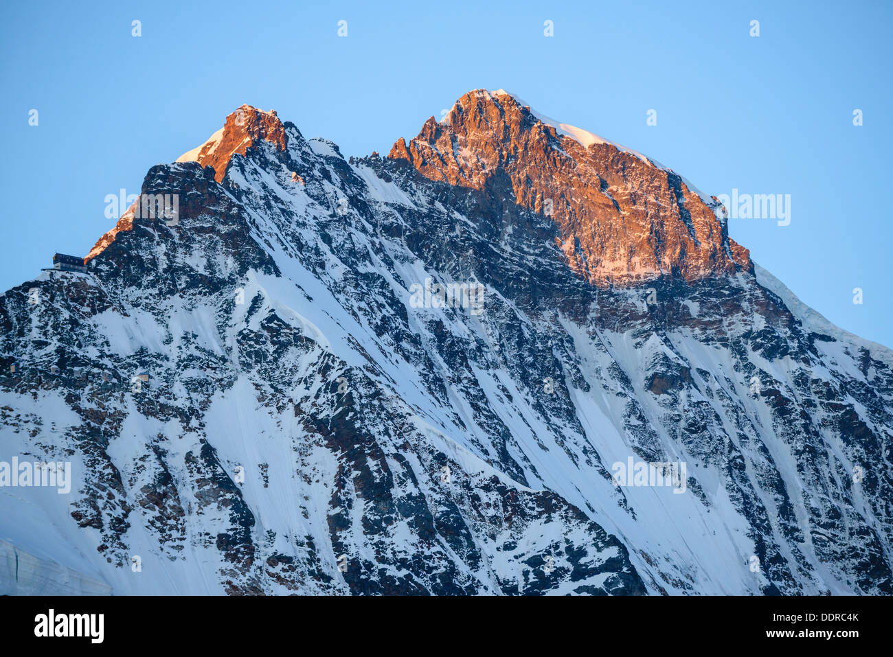 La luce del mattino sulla Jungfrau a 4158 metri di picco nelle Alpi svizzere nei pressi di Grindelwald Foto Stock
