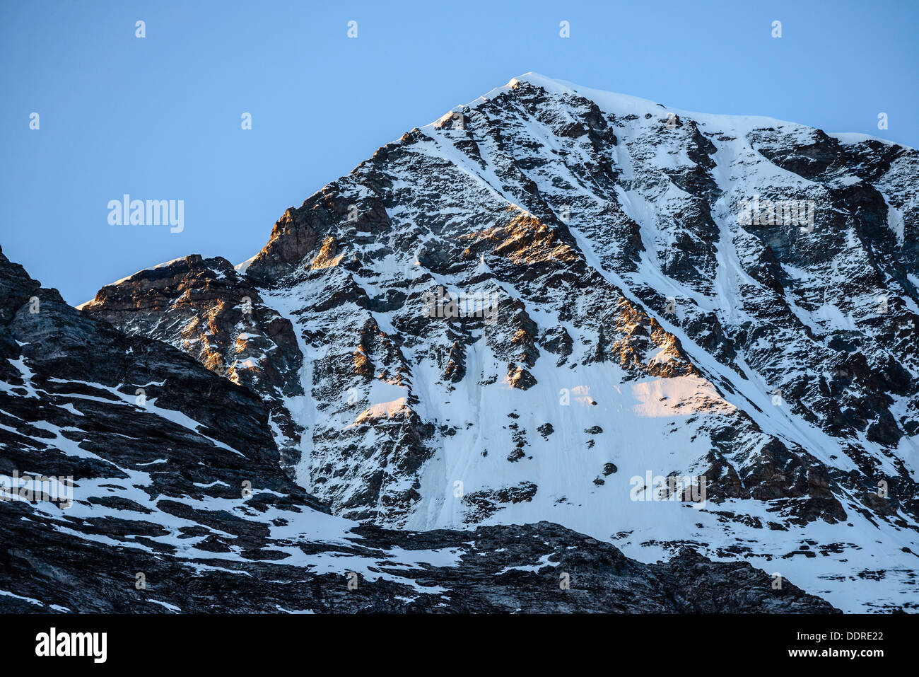 Luce della Sera sul Monch a 4107m picco vicino a Grindelwald in Svizzera Foto Stock