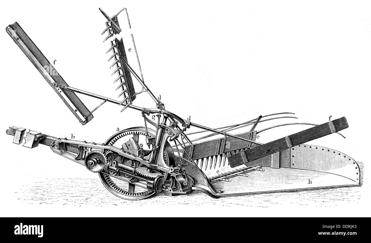 Agricoltura, macchine, falciatrice per cereali di Samuelson, incisione del legno, da: Meyers Konversationslexikon, 4a edizione, Lipsia - Vienna, 1885 - 1892, diritti-aggiuntivi-clearences-not available Foto Stock