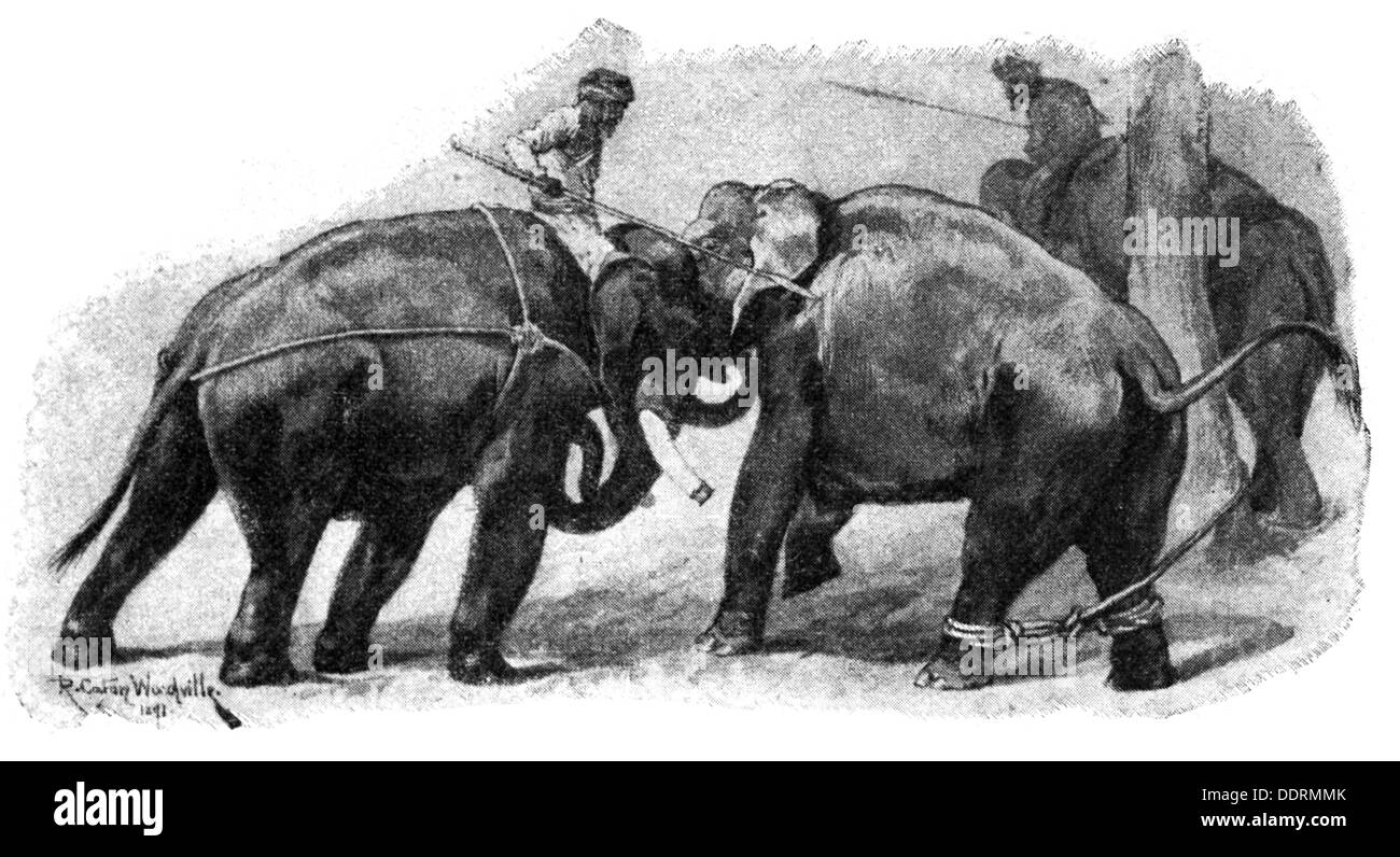 zoologia / Animali, elefante, elefante indiano (Elephas maximus indicus), elefanti addestrati per il lavoro in India, incisione del legno, 'Harper's Weekly', 1892, Additional-Rights-Clearences-non disponibile Foto Stock