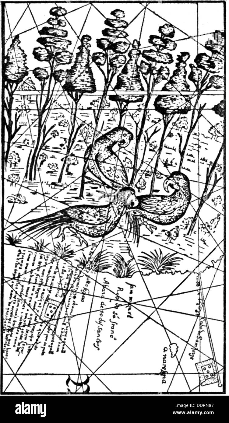 Cartografia, mappe, Brasile, dettaglio dalla mappa del mondo Cantino, 1502, Additional-Rights-Clearences-not available Foto Stock