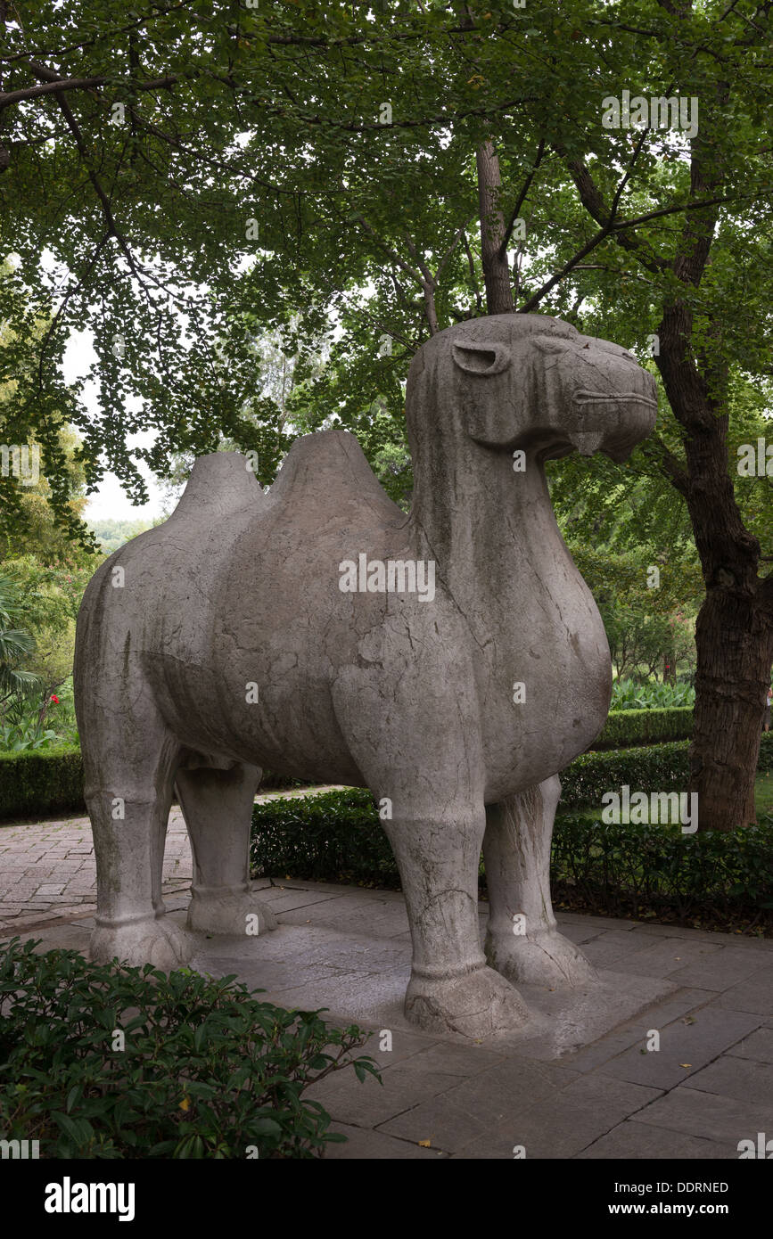 Le Tombe dei Ming, Nanjing, Cina. Statua di un cammello sulla strada dell'Elefante. Foto Stock