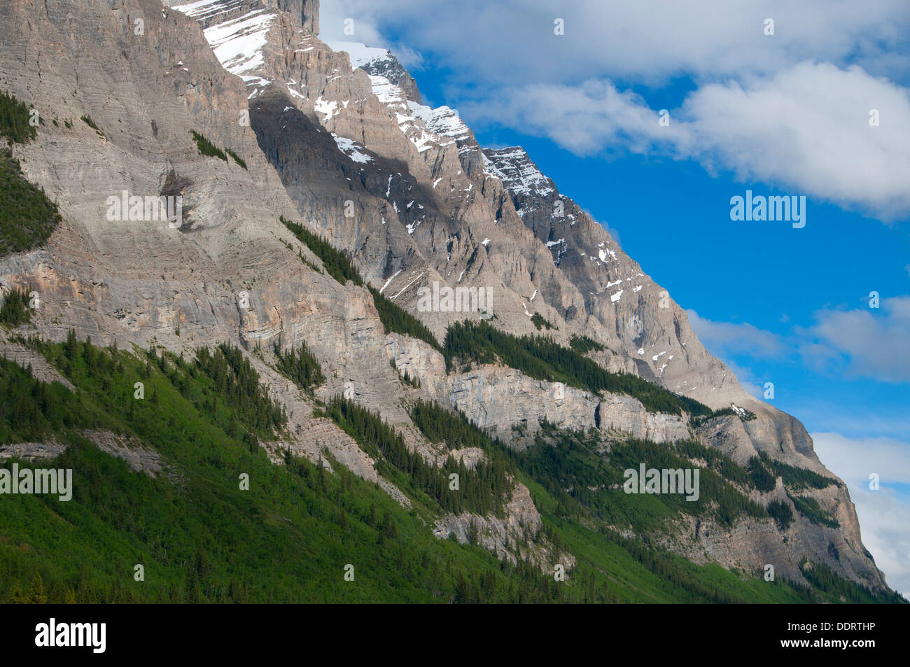 Mt pendenza di Wilson, il Parco Nazionale di Banff, Alberta, Canada Foto Stock
