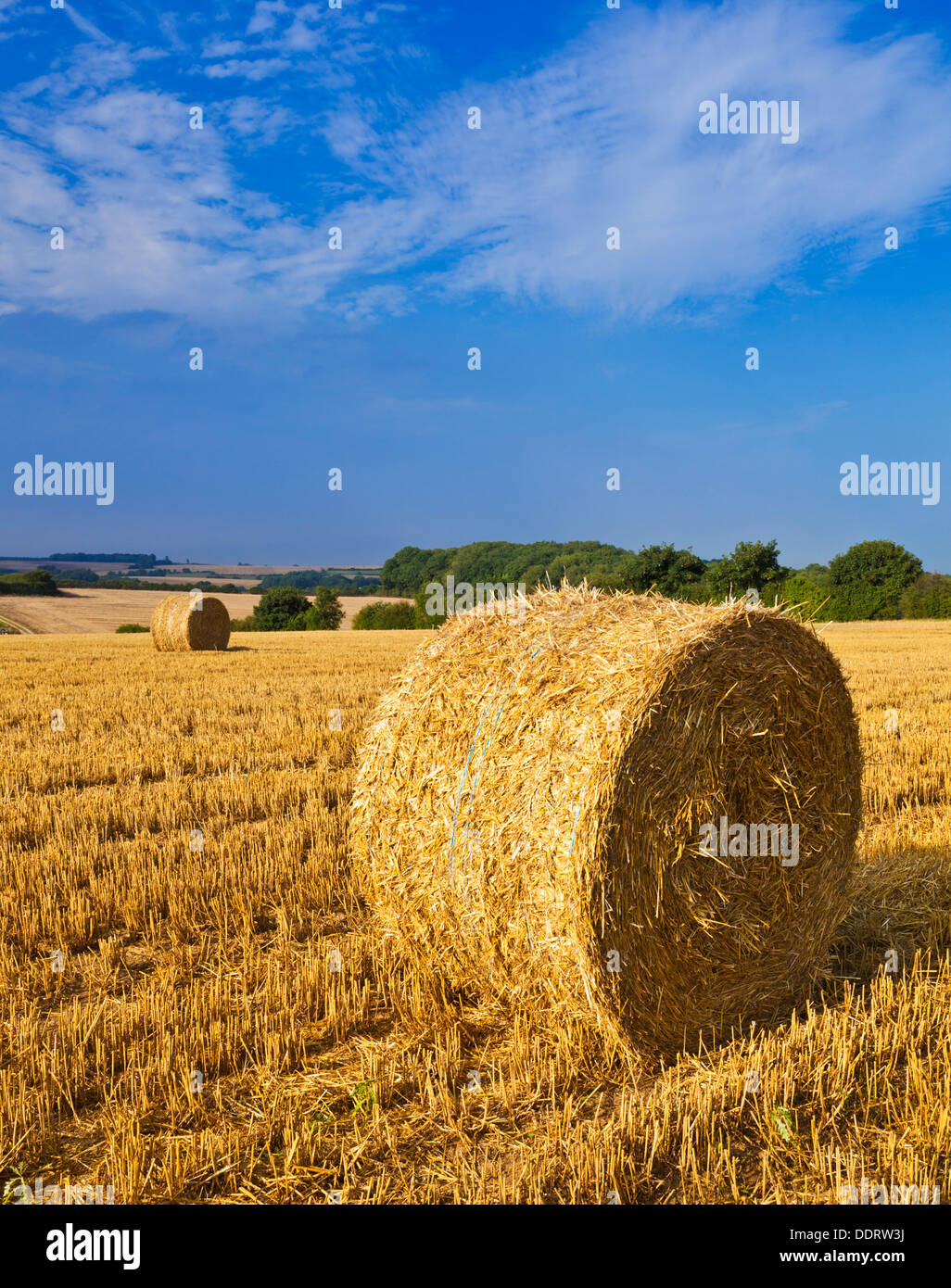Campo di grano raccolti e le balle di paglia fatti Lincolnshire Wolds England Regno Unito GB EU Europe Foto Stock