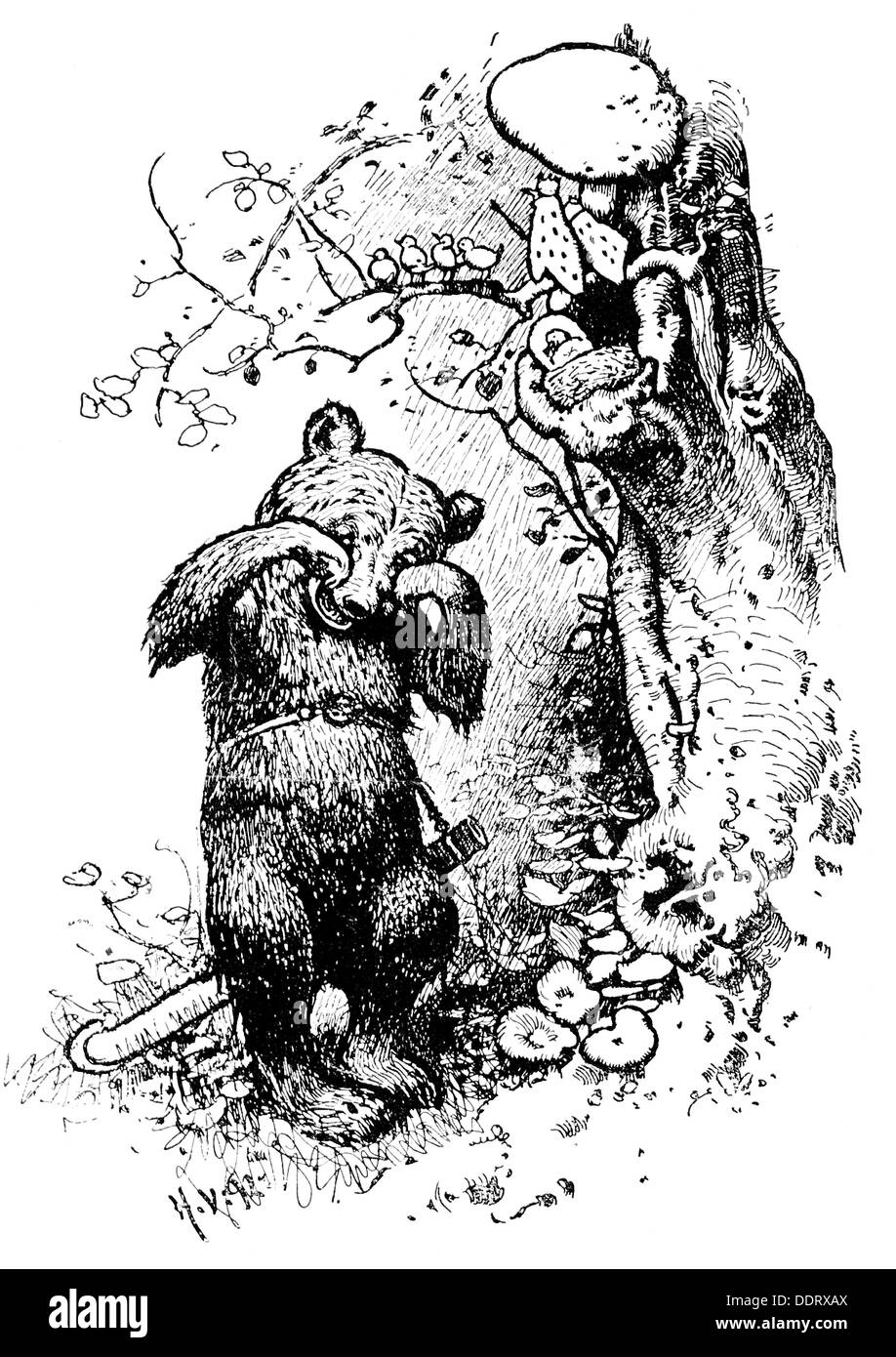 Letteratura, favole, fratelli Grimm, 'la Wren e l'Orso', disegno di Hermann Vogel (1854 - 1921), da: 'Kinder- und Hausmärchen', 1894, diritti aggiuntivi-clearences-non disponibile Foto Stock