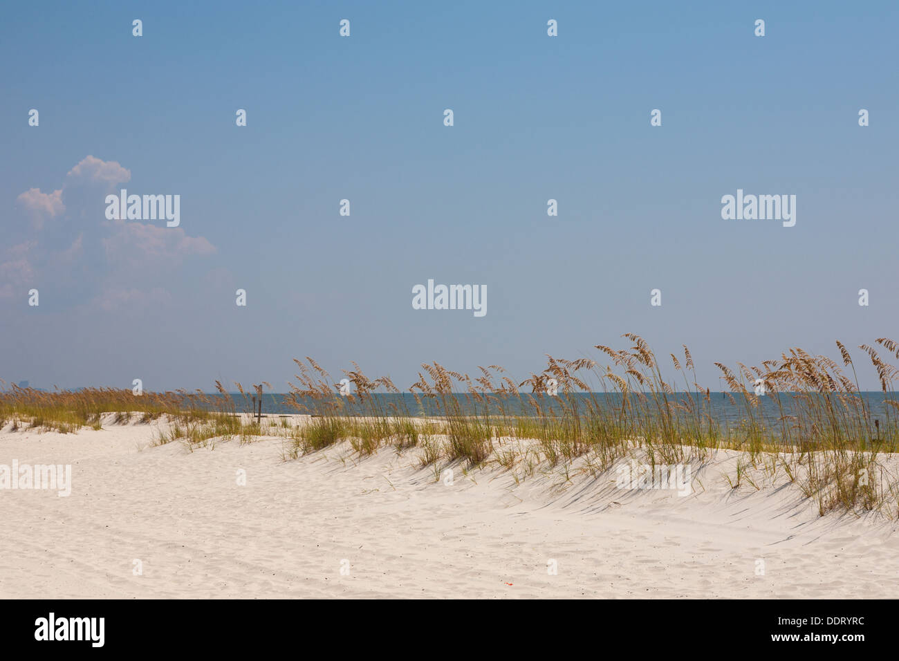 Avene di mare spiaggia di controllo di erosione a man made spiaggia di sabbia del Golfo del Messico a Gulfport Biloxi e Mississippi Foto Stock