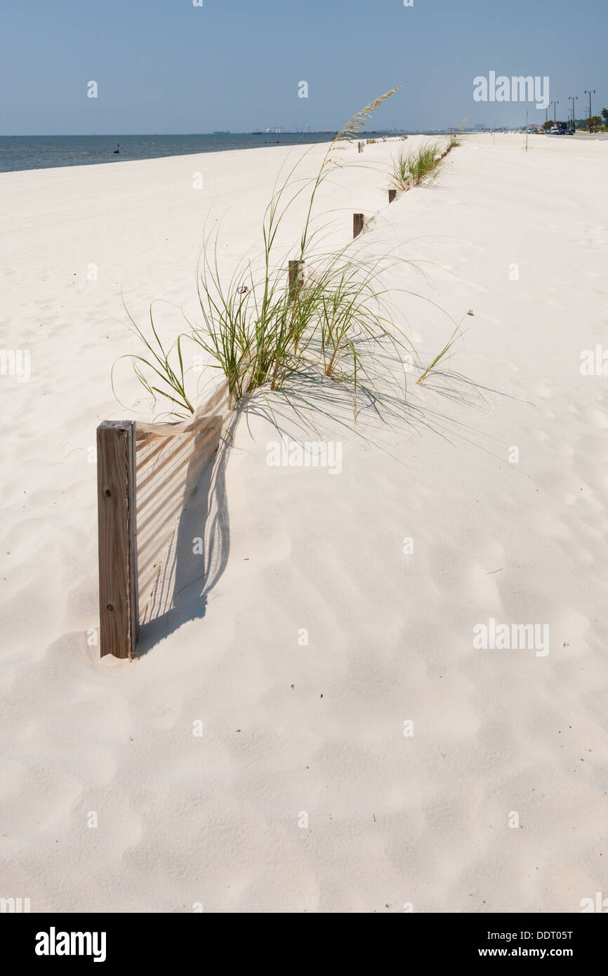 La protezione di erosione dune dell uomo fatto di spiaggia di sabbia del Golfo del Messico a Gulfport Biloxi e Mississippi Foto Stock