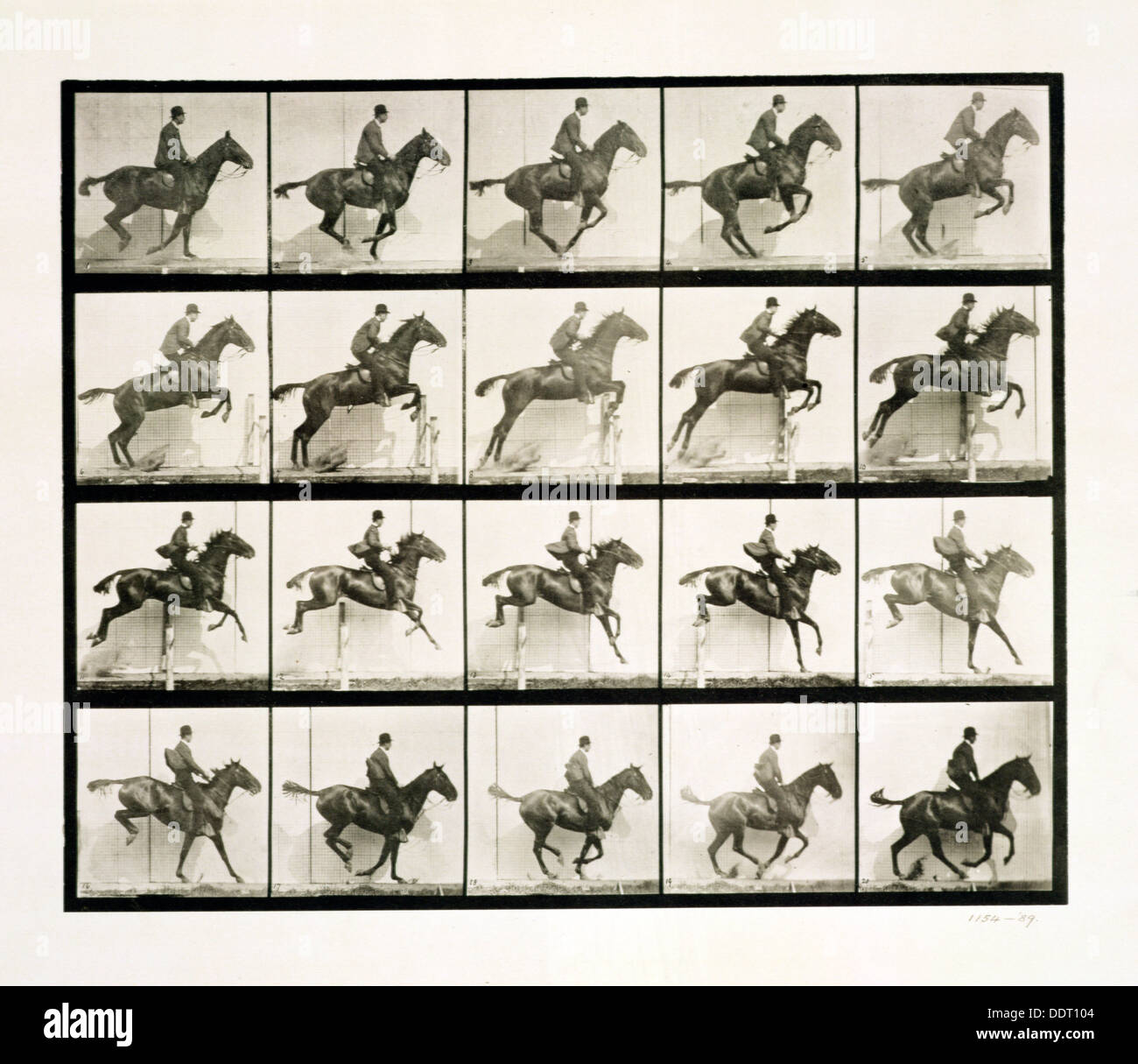 Uomo e cavallo saltando da un recinto, 1887 Artista: J Eadweard Muybridge Foto Stock