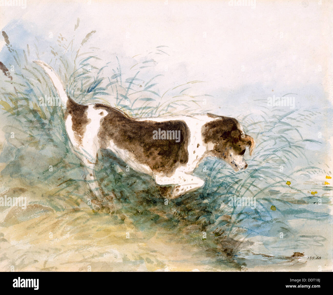 'Un cane guardando un ratto in acqua", 1831. Artista: John Constable Foto Stock