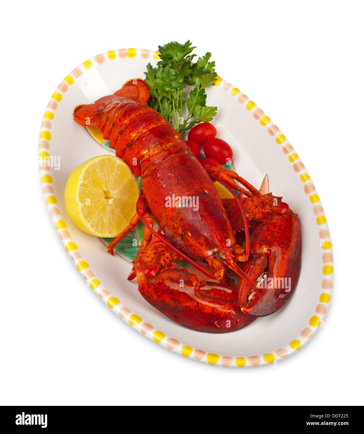 Red Lobster con limone e prezzemolo su sfondo bianco Foto Stock
