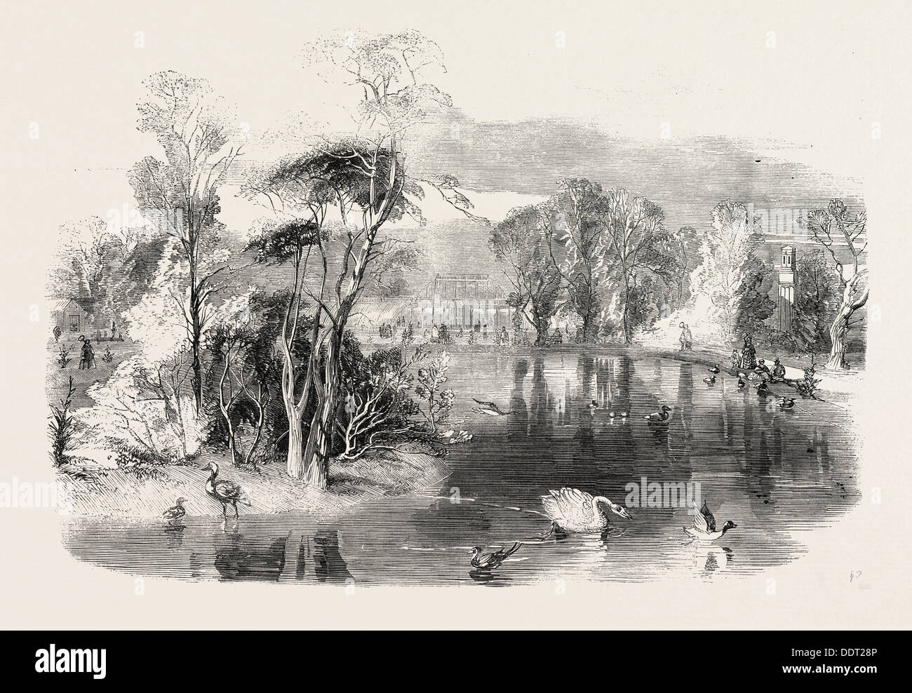 Il nuovo lago, KEW GARDENS, Londra, Regno Unito, 1860 l'incisione Foto Stock