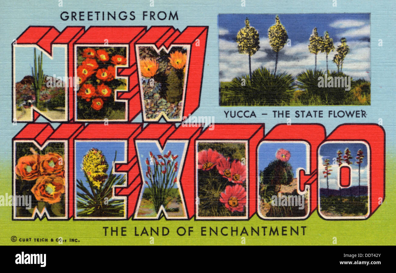 " Saluti dal Nuovo Messico, terra di incanto", cartolina, 1959. Artista: sconosciuto Foto Stock