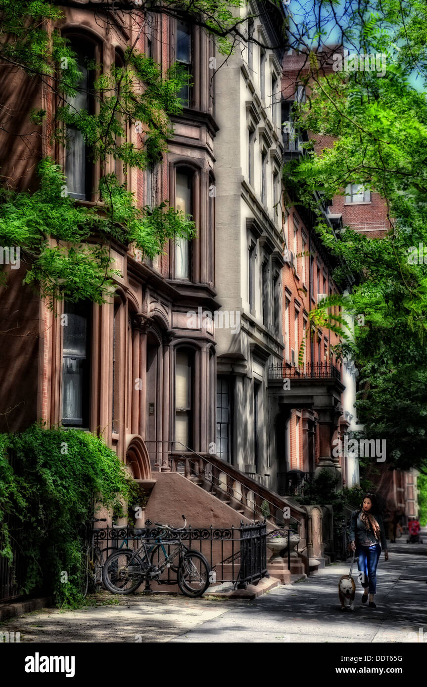 Cane a camminare in Greenwich Village, Manhattan, New York, Stati Uniti d'America Foto Stock