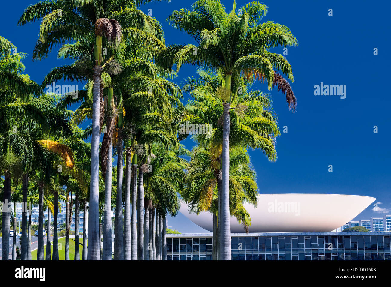 Il Brasile, Brasilia: palme e la vista dal lato posteriore del Congresso Nazionale di costruzione Foto Stock