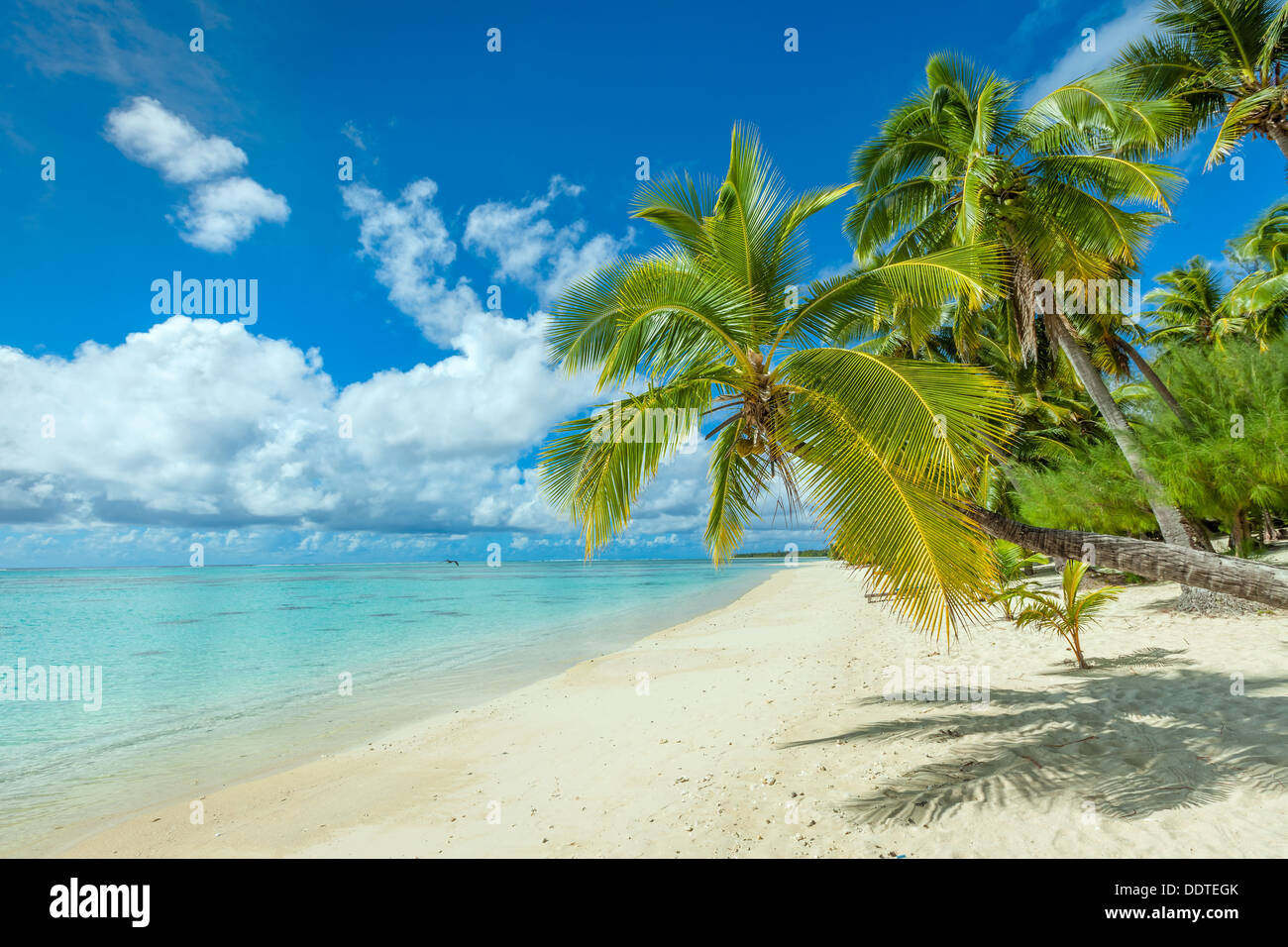 Isole di Cook, isola di Aitutaki e tropicale di spiaggia di sabbia bianca con acqua turchese e palme - Amuri beach, Sud Pacifico Foto Stock