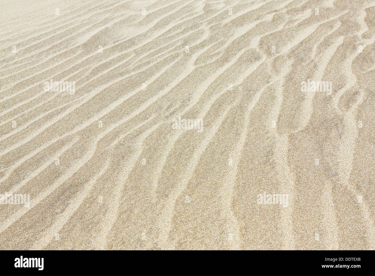 Modelli di piccole dune di sabbia su una spiaggia nel sud-est, Monsúl ,Cabo de Gata Níjar,Almería provincia,Andalusia,Spagna,sfondo. Foto Stock