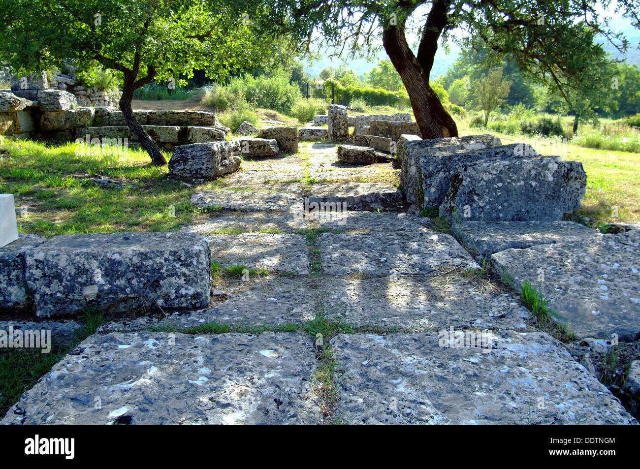 Il Tempio di Eracle a Dodona, Grecia. Artista: Samuel Magal Foto Stock