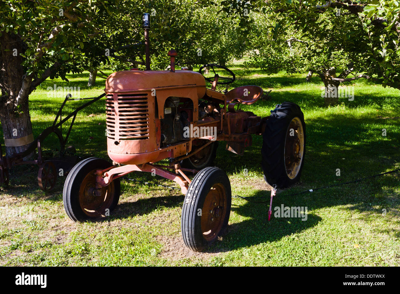 Classic trattore agricolo Parsons frutta stand. Keremeos, regione Okanagan-Similkameen, British Columbia, Canada. Foto Stock