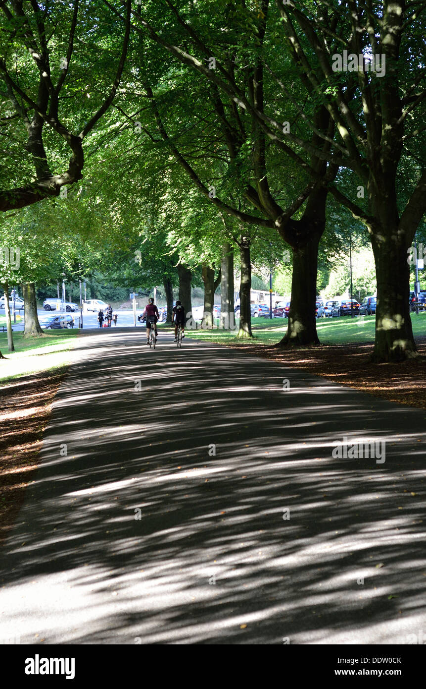 Viale alberato Clifton Bristol England Regno Unito Foto Stock