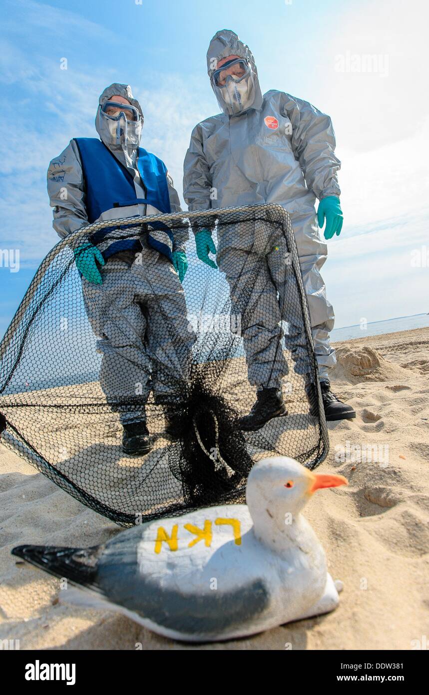 Tre forza limitatrice dipendenti simulare il salvataggio di uccelli di mare dopo un ipotetico incidente di olio sul Mare del Nord prima dell'isola Sylt in Hoernum, Germania, 07 settembre 2013. Durante l'esercizio, il recupero di petrolio i vasi sono stati impiegati come bene. Foto: Markus SCHOLZ Foto Stock