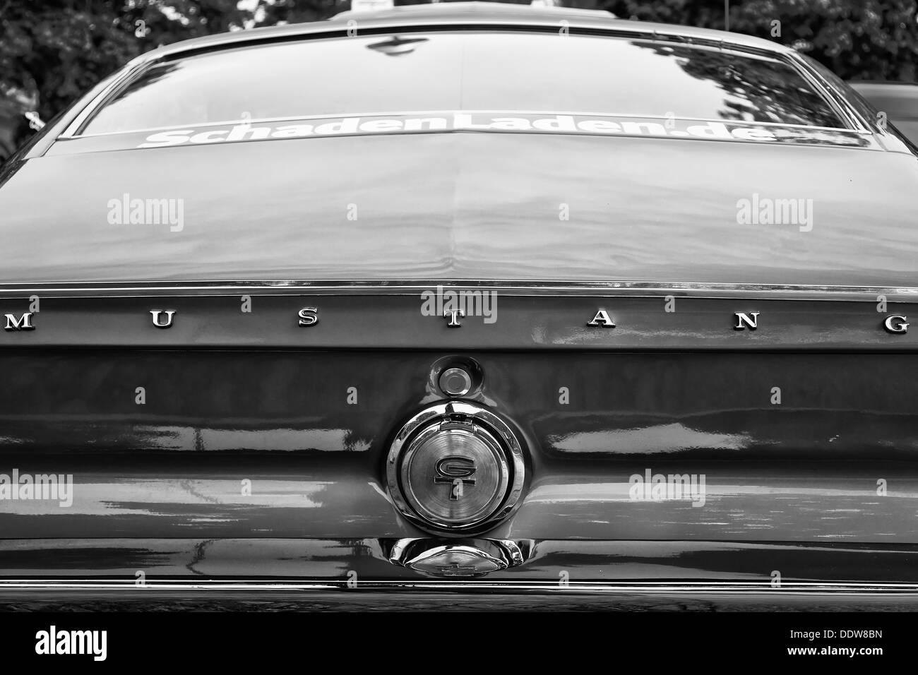 Vista posteriore auto Shelby Mustang GT350, bianco e nero, close-up Foto Stock