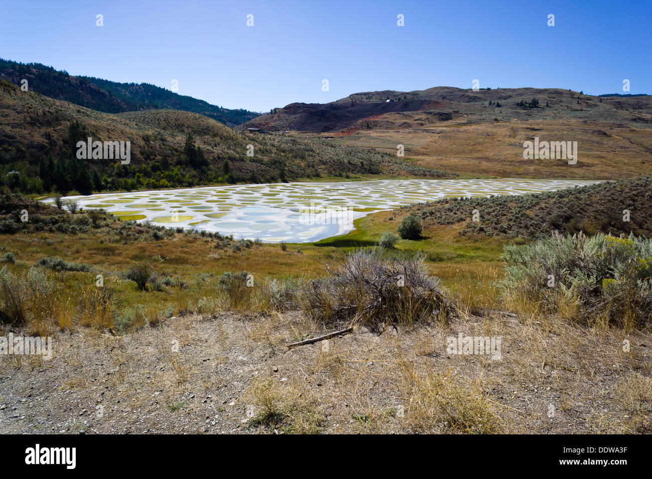 Macchiato il lago, una soluzione salina alcalina endorheic lago situato a nord-ovest di Osoyoos, regione Okanagan-Similkameen, BC, Canada. Foto Stock