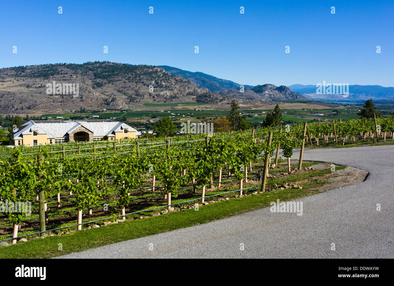 Tinhorn Creek Winery, Oliver, Sud Okanagan, British Columbia, Canada. Foto Stock