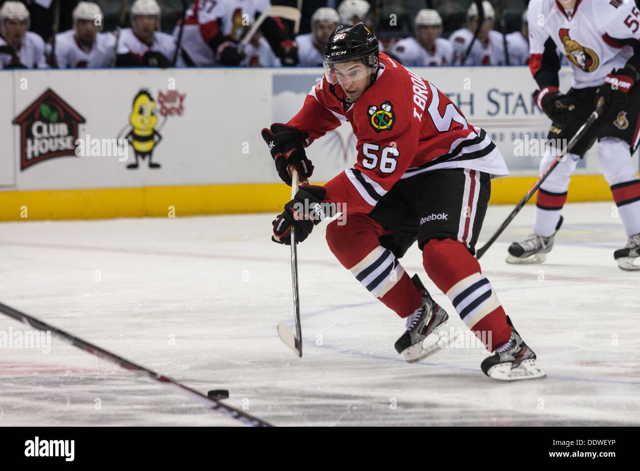 London Ontario, Canada. 07Th Sep, 2013. Terry Broadhurst (56) del Chicago Blackhawks durante un gioco al 2013 National Hockey League Rookie Tournament suonata in Budweiser Gardens a Londra, Ontario Canada il 7 settembre 2013. L'Ottawa Senataors sconfitto il Chicago Blackhawks da un punteggio di 4-3 in un shoot-out. Credito: Mark Spowart/Alamy Live News Foto Stock