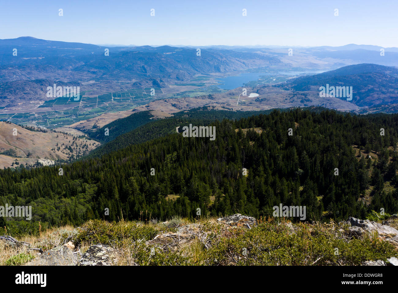 Vista sul Sud Okanagan Valley e Osoyoos lago dal Monte Kobau vertice. Sud Okanagan praterie Area Protetta, BC, Canada. Foto Stock