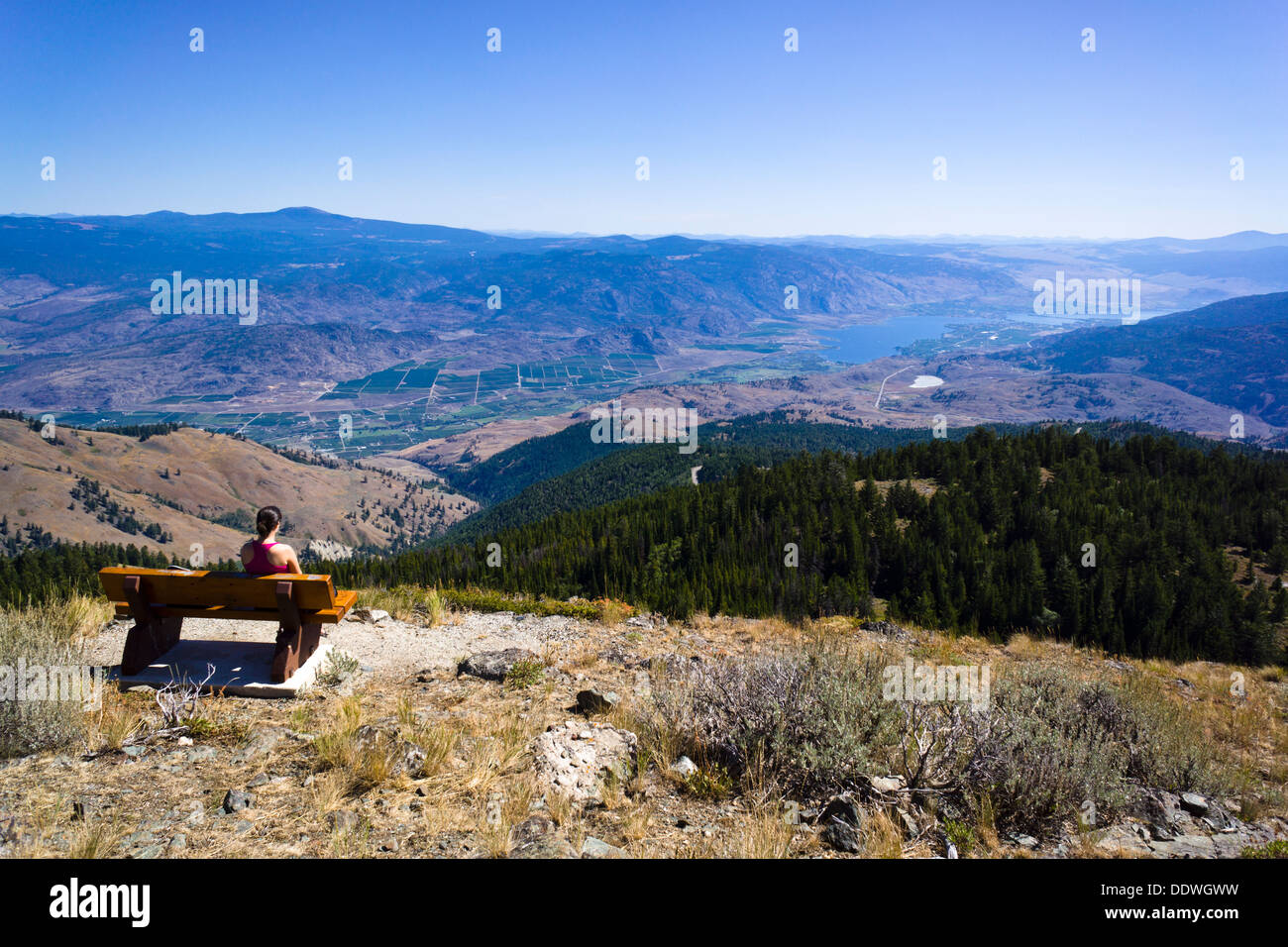 Ragazza sul banco di lavoro gode di vista sul Sud Okanagan Valley dal Monte Kobau vertice. Sud Okanagan praterie Area Protetta, BC, Can. Foto Stock