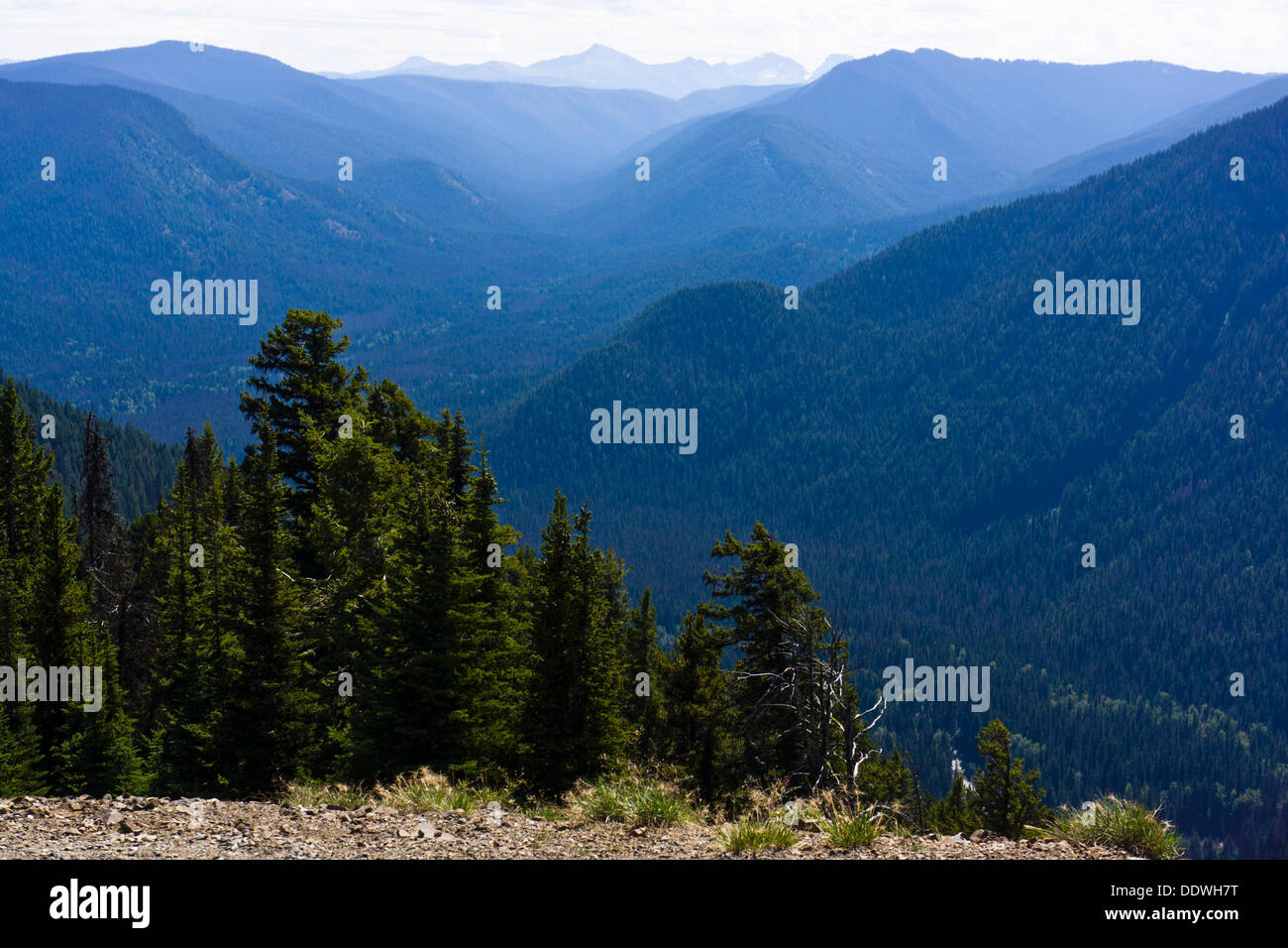 Vista sulla valle e sulle montagne dal Cascade Lookout, E.C. Manning Provincial Park, British Columbia, Canada. Foto Stock