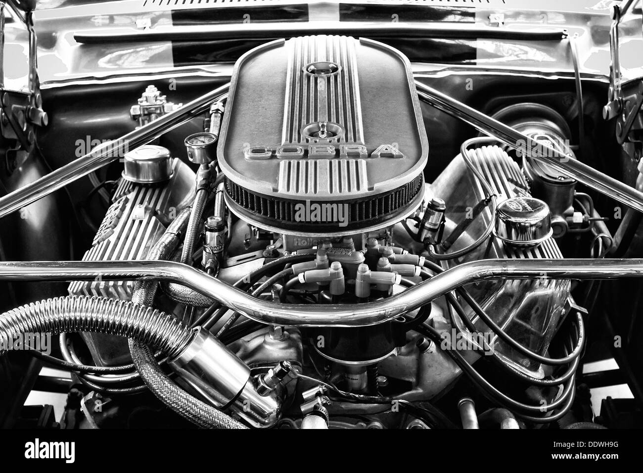 Il motore Ford Shelby Mustang GT500 Eleanor (bianco e nero) Foto Stock
