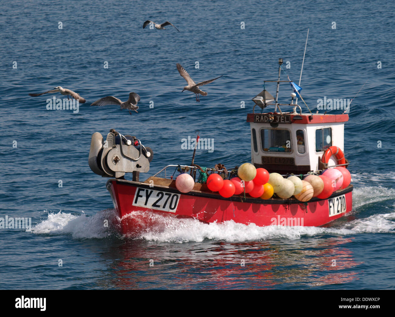 Piccola pesca commerciale trawler tornando a casa con i gabbiani volare intorno ad esso, Mevagissey, Cornwall, Regno Unito 2013 Foto Stock
