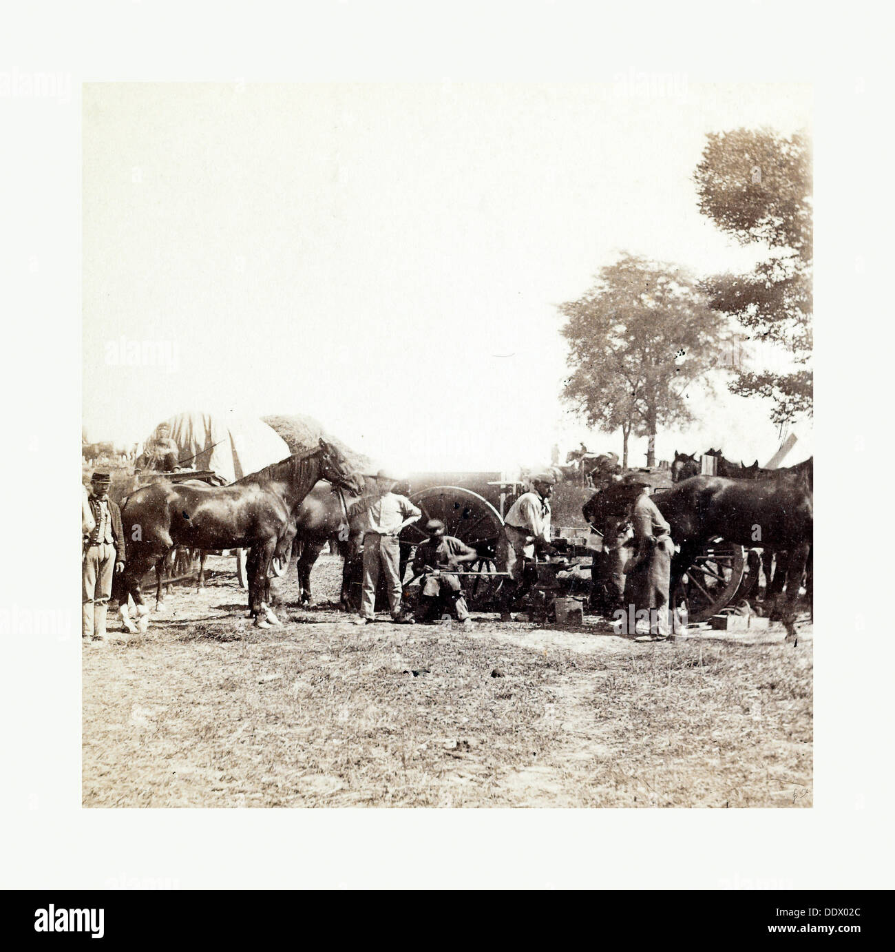 La guerra civile americana: Esercito fabbro e Forge, Antietam, sett, 1862, Union Army fabbro al lavoro circondato da cavalli Foto Stock