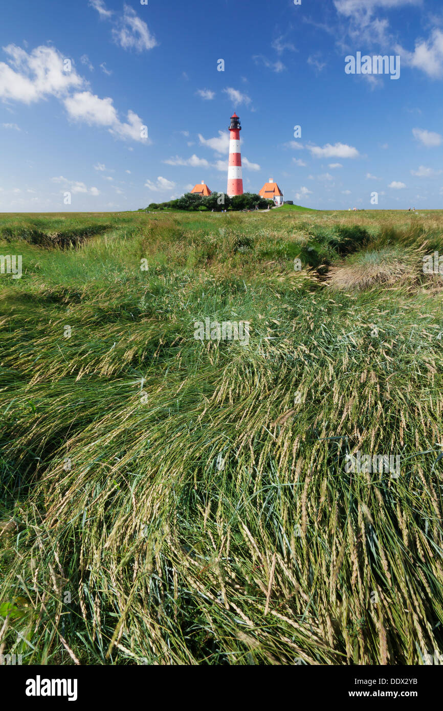 Faro di Westerheversand, Westerhever, penisola di Eiderstedt, Schleswig Holstein, Germania Foto Stock Faro di Westerheversand, Westerhever, penisola di Eiderstedt, Schleswig Holstein, Germania Foto Stock