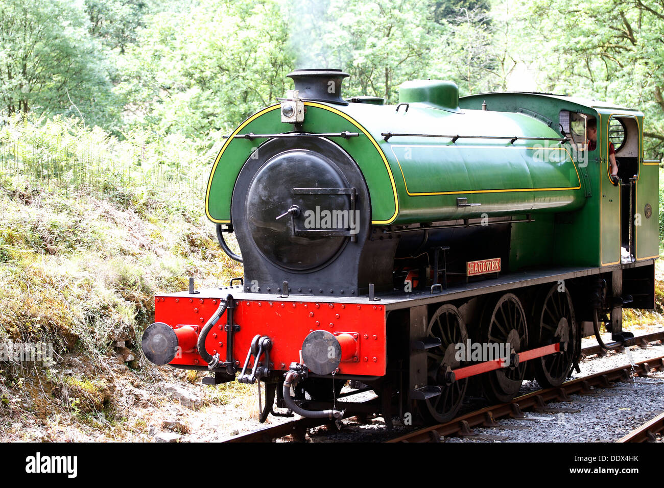 Gwili Railway - Rheilffordd Ager y Gwili Haulwen 0-6-0 serbatoio a sella motore a vapore Foto Stock