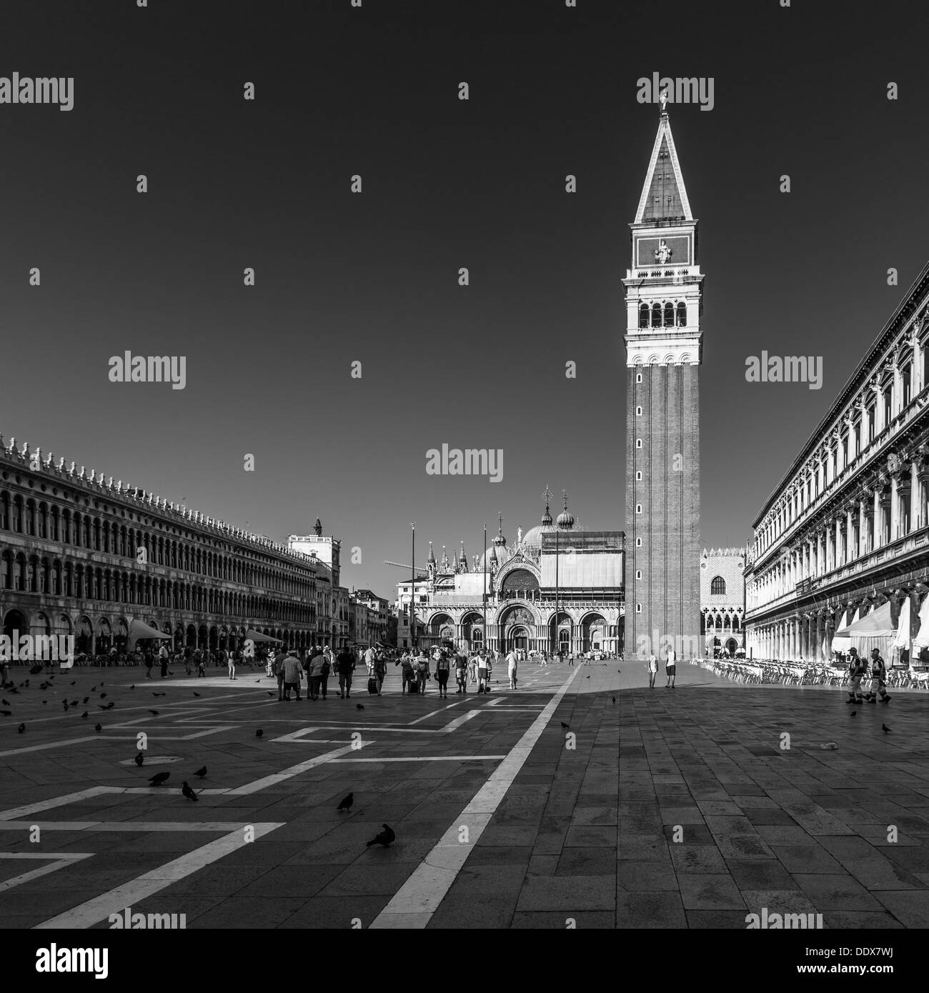 Piazza San Marco (in bianco e nero) - Venezia, Italia Foto Stock
