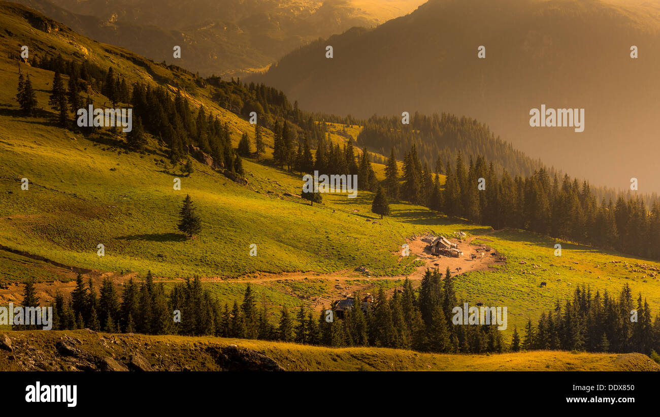 Tradizionale rumena ovile in un idilliaco Carpazi paesaggio, inondati dalla golden la luce del tramonto Foto Stock