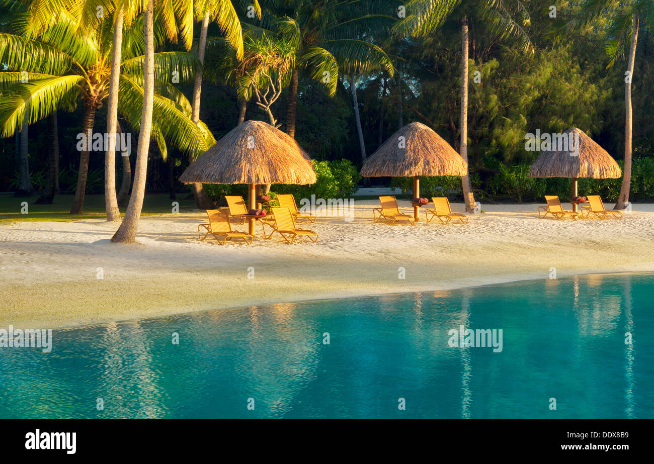 Unbrellas e sedie a sdraio sulla spiaggia della laguna. Bora Bora. Polinesia francese. Foto Stock